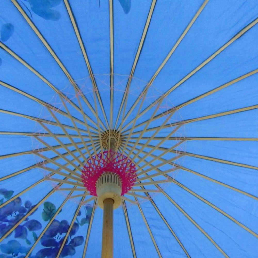 Blue Umbrella - Picture 4 of 5